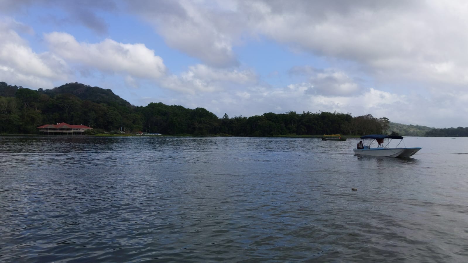 Representación de las vías fluviales históricas y la exuberante selva de la región