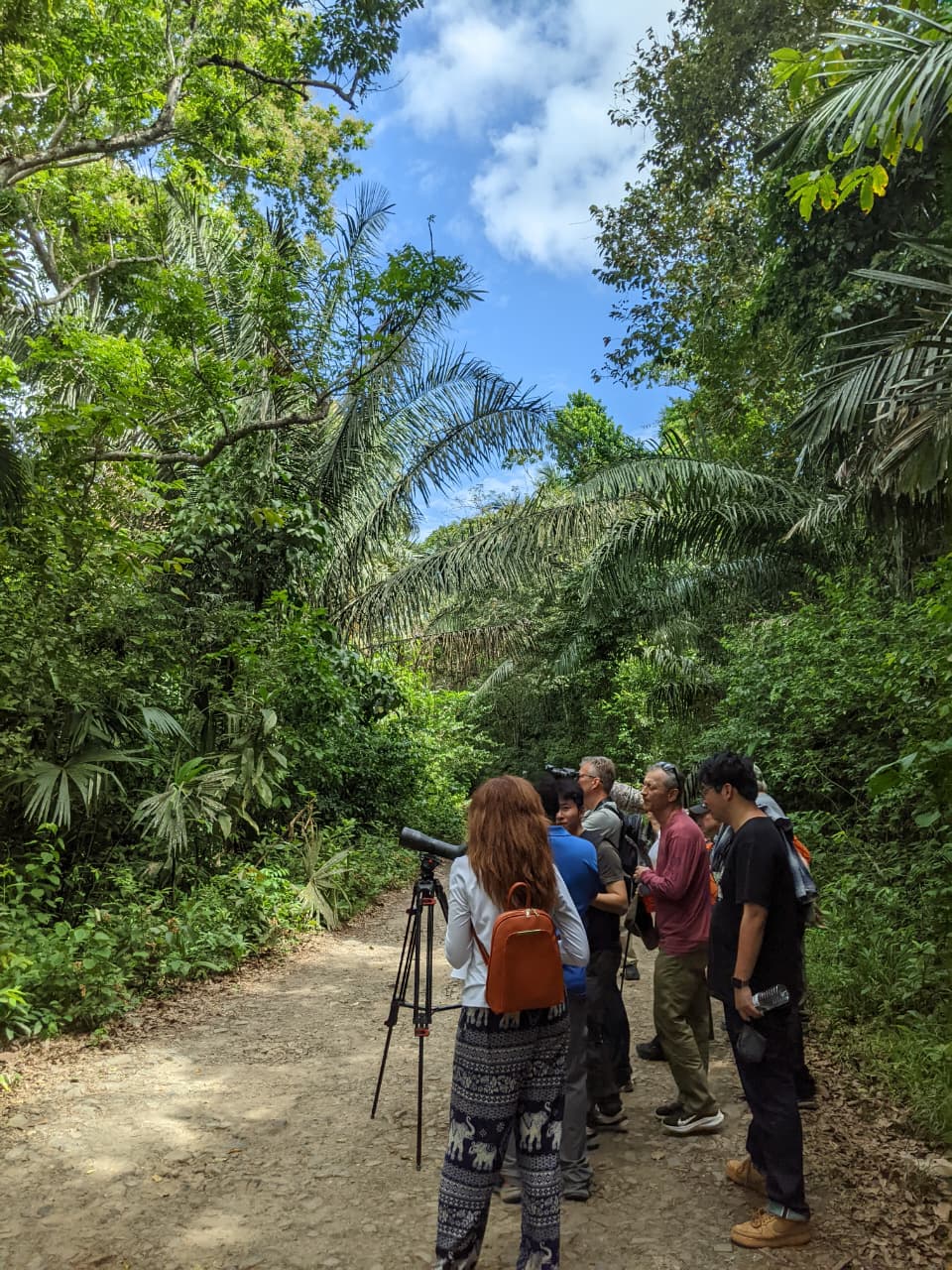 Grupo de observadores de aves en Pipeline Road con guía naturalista