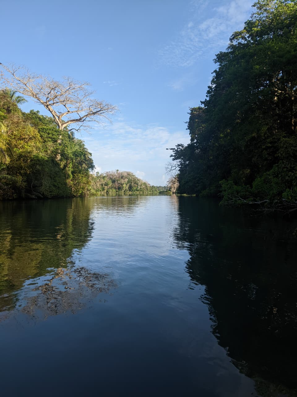 Navegación en el Lago Gatún, canales entre la selva tropical