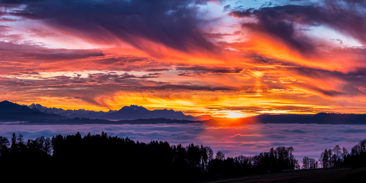 Selva exuberante en la cuenca del Chagres, Panamá
