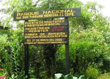 Inmersión en el bosque nuboso del Parque Nacional Omar Torrijos