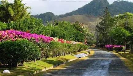 Vistas de la cascada